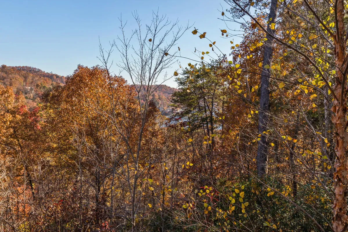 This view captures a sweeping landscape of colorful autumn leaves, distant hills, and a clear blue sky. The scene evokes the quintessential Blue Ridge experience, highlighting the region’s vibrant foliage and opportunities for hiking, photography, and nature walks.